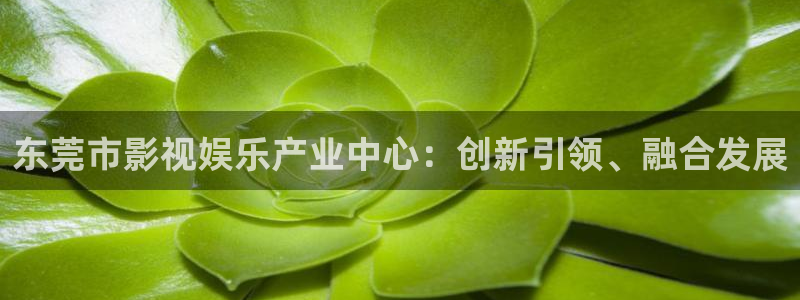 樱桃影院免费观看电视剧在线观看