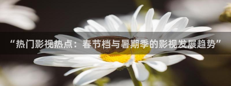 樱桃电影在线观看免费高清完整版：“热门影视热点：春节档与暑期季的影视发展趋势”