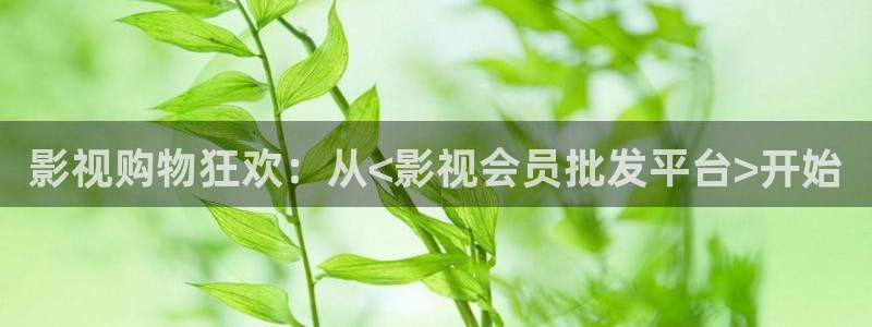 樱桃在线观看免费高清电影：影视购物狂欢：从<影视会员批发平台>开始