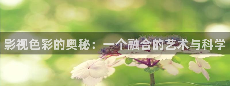 樱桃影院免费观看